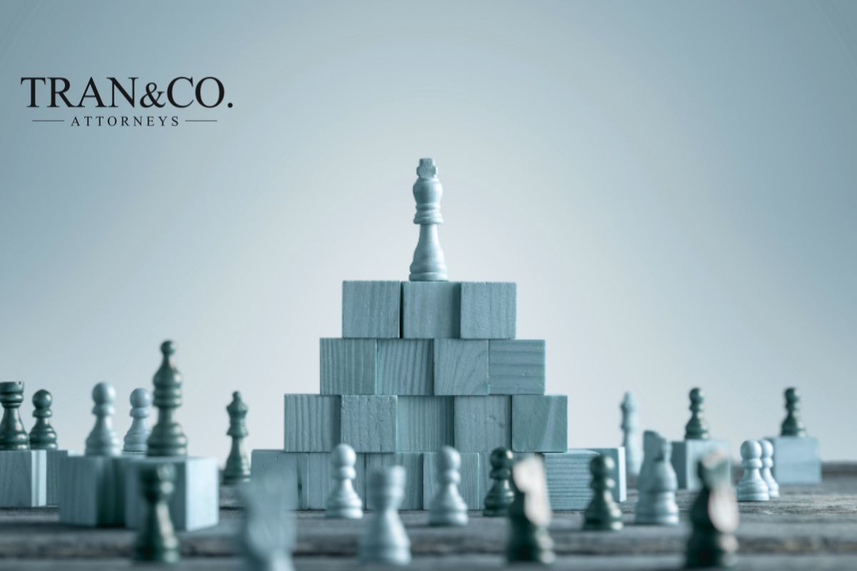 dich-vu-tu-van-phap-ly-thuong-xuyen